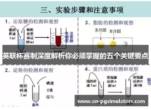 英联杯赛制深度解析你必须掌握的五个关键要点
