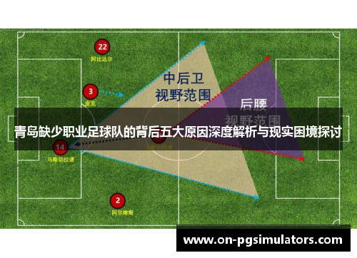 青岛缺少职业足球队的背后五大原因深度解析与现实困境探讨